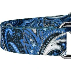 Country Brook Petz Martingale Dog Collar - Paisley Collection -Pet Shop GUEST 50c0e925 1876 40ab 89ea e67855fbd3c7