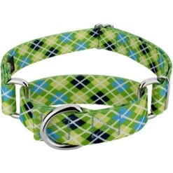 Country Brook Petz Margarita Argyle Martingale Dog Collar -Pet Shop GUEST 5165d672 5796 4efb 83f1 412c5509796e