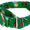 Country Brook Petz 1 1/2 Inch Ladybug Picnic Martingale Dog Collar -Pet Shop GUEST 51df4bb9 dd8d 4b2a bddd 1b36e3faa20f