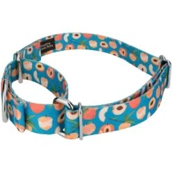 Country Brook Petz Peaches Martingale Dog Collar