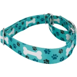 Country Brook Petz Oh My Dog Martingale Dog Collar And Leash -Pet Shop GUEST 533ca441 0eac 44d7 8a2d 34dc48baf500