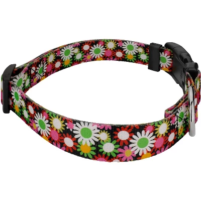 Country Brook Petz Daisy Fields Deluxe Dog Collar And Leash 4 Country Brook Petz Daisy Fields Deluxe Dog Collar And Leash - Image 2