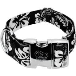 Country Brook Petz 1 1/2 Inch Premium Black Hawaiian Dog Collar -Pet Shop GUEST 5455019f 74c8 4a23 96a5 cde2e4c02441