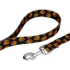 Country Brook Petz Premium Dog Collar And Leash - Halloween Collection -Pet Shop GUEST 5496f71b 171b 429c 80c2 51aff7854e27 1