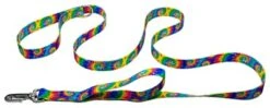 Country Brook Petz Classic Tie Dye Deluxe Reflective Dog Leash -Pet Shop GUEST 550638f9 fd6f 432d 8f87 750114dbf390