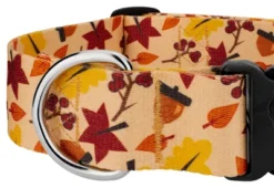 Country Brook Petz 1 1/2 Inch Deluxe Fall Foliage Dog Collar -Pet Shop GUEST 5562e5f6 0ab0 4dcd b06b 17cdf3a2d05e