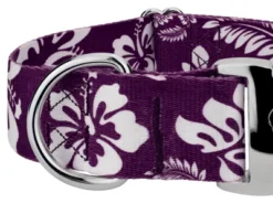 Country Brook Petz 1 1/2 Inch Premium Purple Hawaiian Dog Collar 9 Country Brook Petz 1 1/2 Inch Premium Purple Hawaiian Dog Collar -Pet Shop GUEST 55631a03 5da3 48a6 81c9 9c5815b46cc6