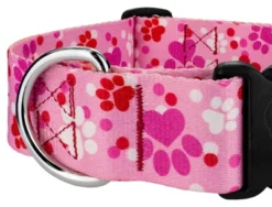 Country Brook Petz 1 1/2 Inch Deluxe Puppy Love Dog Collar -Pet Shop GUEST 558c7fa6 8577 45af bcb9 1f5d0baa3287