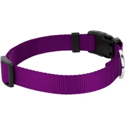 Country Brook Petz Deluxe Nylon Dog Collar And Leash -Pet Shop GUEST 55cb9d4c 5e97 4a81 9989 36004665bb6c