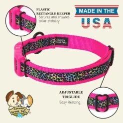 Country Brook Petz Deluxe Ribbon Dog Collar, Bright Spirits Collection -Pet Shop GUEST 56302ca7 8d22 4bdd bcb8 8607fa1381b6