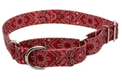 Country Brook Petz Red Bandana Martingale Dog Collar -Pet Shop GUEST 56309d68 a320 4960 8e4f 116c11becf41