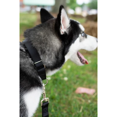 Country Brook Petz® 5/8 Inch Nylon Dog Leash 3 Country Brook Petz® 5/8 Inch Nylon Dog Leash