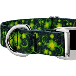 Country Brook Petz Premium Dog Collar - Irish Pride Collection -Pet Shop GUEST 56495de7 dc37 4de7 a3b3 24dab100715b