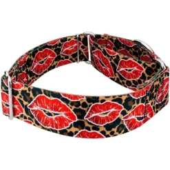 Country Brook Petz HossFit Jr Wide Martingale Dog Collar - Affection Collection -Pet Shop GUEST 56c7a512 e177 4b6a 964b 139b101c2456