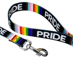 Country Brook Petz - 1/2 Inch Pride Dog Leash, 6 Foot