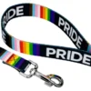 Country Brook Petz® 5/8 Inch Pride Dog Leash, 6 Foot