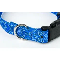 Country Brook Petz® Deluxe Dog Collar - Country And Western Collection - Made In The U.S.A. -Pet Shop GUEST 574db719 b502 42ab 9f7f 9677b3bc58cc