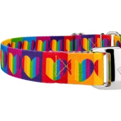 Country Brook Petz Rainbow Hearts Martingale Dog Collar With Premium Buckle (1 Inch, Large) 10 Country Brook Petz Rainbow Hearts Martingale Dog Collar With Premium Buckle (1 Inch, Large) -Pet Shop GUEST 57d4f342 1492 4700 ba59 f561983e8045 1