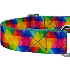 Country Brook Petz Kaleidoscope Martingale Dog Collar -Pet Shop GUEST 57f92078 3029 4f9b 89c5 2b9f8fc2ad8f
