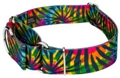Country Brook Petz 1 1/2 Inch Tie Dye Stripes Martingale Dog Collar 13 Country Brook Petz 1 1/2 Inch Tie Dye Stripes Martingale Dog Collar -Pet Shop GUEST 58a13356 bfbc 4aff 9c0b f7855889babe