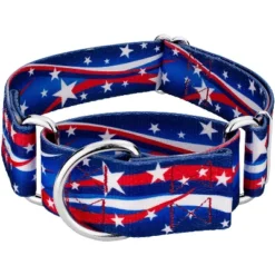Country Brook Petz 1 1/2 Inch Star Spangled Martingale Dog Collar 11 Country Brook Petz 1 1/2 Inch Star Spangled Martingale Dog Collar -Pet Shop GUEST 59021a89 51d2 4f99 88fe 5b05548f3895