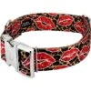 Country Brook Petz HossFit Jr Wide Premium Dog Collar - Affection Collection -Pet Shop GUEST 592ab36a 6fdf 4502 b491 a5b4ca9b9b33