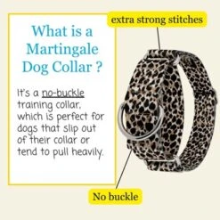 Country Brook Petz HossFit Jr Wide Martingale Dog Collar - Animal Print Collection 13 Country Brook Petz HossFit Jr Wide Martingale Dog Collar - Animal Print Collection -Pet Shop GUEST 59380cac 25f7 4736 aa8a 78325ef248e6