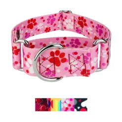 Country Brook Petz HossFit Jr Wide Martingale Dog Collar - Affection Collection -Pet Shop GUEST 598a0f7c d6f3 4f1a 8a05 5f40e9ba5df4