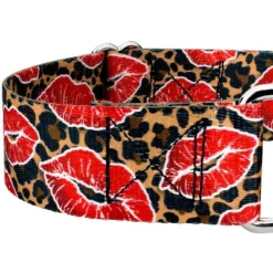 Country Brook Petz HossFit Jr Wide Martingale Dog Collar - Affection Collection -Pet Shop GUEST 59949d19 fba7 41be b6e0 4950ad047ab5