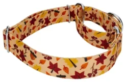 Country Brook Petz Fall Foliage Martingale Dog Collar -Pet Shop GUEST 59da6588 297d 4626 b921 4ac67c80a948