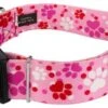 Country Brook Petz 1 1/2 Inch Deluxe Puppy Love Dog Collar 2 Country Brook Petz 1 1/2 Inch Deluxe Puppy Love Dog Collar -Pet Shop GUEST 5a7e88e5 b9bd 4436 94a2 32c09def063a