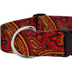Country Brook Petz HossFit Jr Wide Deluxe Dog Collar - Paisley Collection -Pet Shop GUEST 5b0ea201 3783 4abb ab5d 385116cd0e08