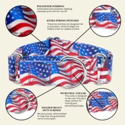 Country Brook Petz HossFit Jr Wide Reflective Martingale Dog Collar Collection Featuring Night Safe Designs -Pet Shop GUEST 5b91b1cd 394a 46c4 b469 df2b95d176b1