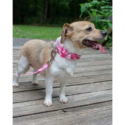Country Brook Petz - Pink Hawaiian Martingale Dog Collar 3 Country Brook Petz - Pink Hawaiian Martingale Dog Collar
