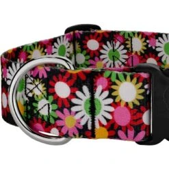 Country Brook Petz HossFit Jr Wide Deluxe Dog Collar - Floral Collection -Pet Shop GUEST 5c1f553e 68dd 4327 88b7 fa4f415bcab2