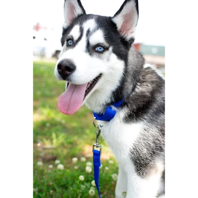 Country Brook Petz 3/4 Inch Nylon Dog Leash 4 Country Brook Petz 3/4 Inch Nylon Dog Leash - Image 2