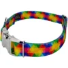 Country Brook Petz Premium Kaleidoscope Dog Collar 2 Country Brook Petz Premium Kaleidoscope Dog Collar -Pet Shop GUEST 5cabebc0 b472 4f4e b6cd 80f179fe4d0d