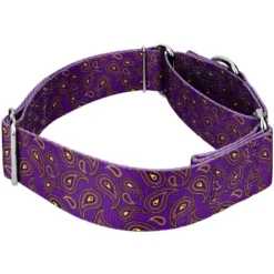 Country Brook Petz 1 1/2 Inch Purple Paisley Martingale Dog Collar -Pet Shop GUEST 5d190810 3f28 4a78 81af 1740a6fb3a8d