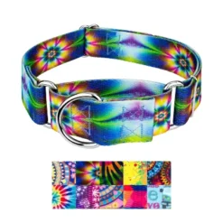 Country Brook Petz HossFit Jr Wide Martingale Dog Collar - Groovy Collection -Pet Shop GUEST 5ddf0962 42a8 4248 b43d 74ee62a5125d