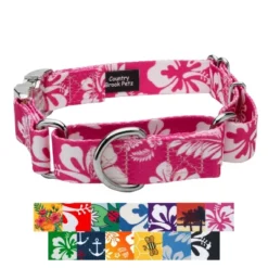 Country Brook Petz Martingale With Premium Buckle - Summer Breeze Collection -Pet Shop GUEST 5f6979d5 3645 49ac a136 55f7a97fce59