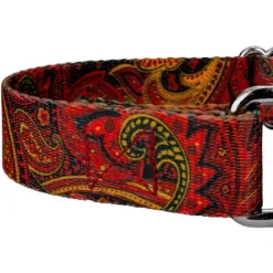 Country Brook Petz Martingale Dog Collar - Paisley Collection -Pet Shop GUEST 60222b3d 3561 4ccf 9308 9e8816679b88