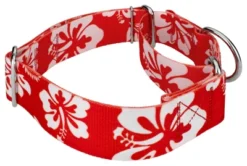 Country Brook Petz 1 1/2 Inch Red Hawaiian Martingale Dog Collar -Pet Shop GUEST 6083f140 86cf 444b abfe 9087efcb62ba