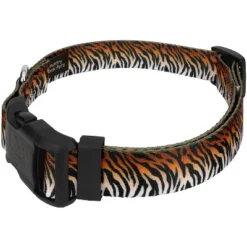 Country Brook Petz Deluxe Bengal Tiger Stripes Dog Collar - Made In The U.S.A. (1 Inch, Extra Large)