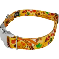 Country Brook Petz Premium Dog Collar - Awesome Autumn Collection -Pet Shop GUEST 61075e49 2752 4c23 befb 7a9f82756ae9