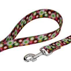 Country Brook Petz Daisy Fields Deluxe Dog Collar And Leash 10 Country Brook Petz Daisy Fields Deluxe Dog Collar And Leash -Pet Shop GUEST 6115f1c1 ddfc 4dc0 bfaf d01bd3d52212