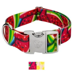 Country Brook Petz HossFit Jr Wide Premium Dog Collar - Tasty Collection -Pet Shop GUEST 611afbaa 6874 4aa0 95c7 66474d2311e3