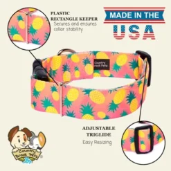 Country Brook Petz HossFit Jr Wide Deluxe Dog Collar - Tasty Collection -Pet Shop GUEST 615bcb72 f6cb 4118 a971 58c25cb5fe2d