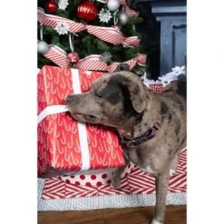 Country Brook Petz Buffalo Plaid Martingale Dog Collar