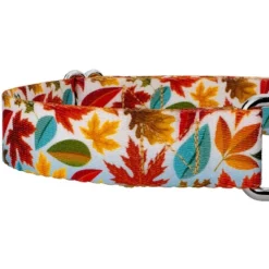 Country Brook Petz Brisk Autumn Martingale Dog Collar And Leash 9 Country Brook Petz Brisk Autumn Martingale Dog Collar And Leash -Pet Shop GUEST 61a66316 bbe2 471d b80c 99ec6f2f0346 2
