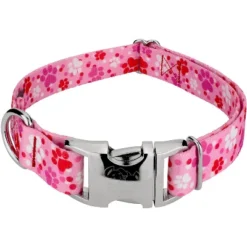 Country Brook Petz Premium Puppy Love Dog Collar -Pet Shop GUEST 61bff98f c06c 4138 99cb 60fe1e8c3fd3